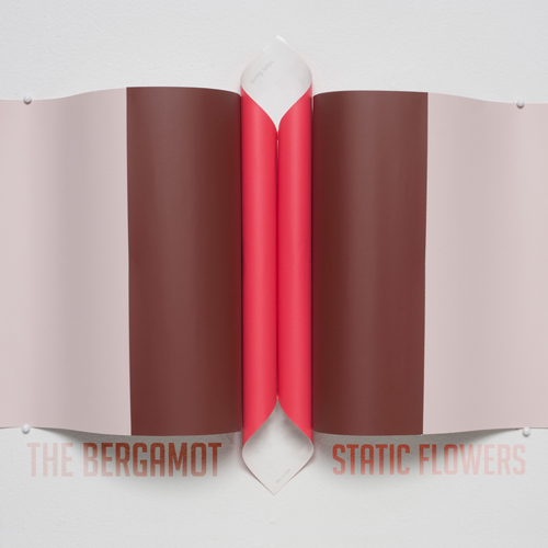 Static Flowers: Release date Dec. 4th